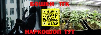 шишки Гатчина