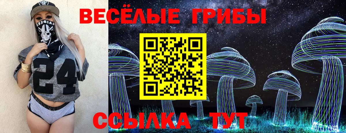 Псилоцибиновые грибы мицелий Нефтекамск